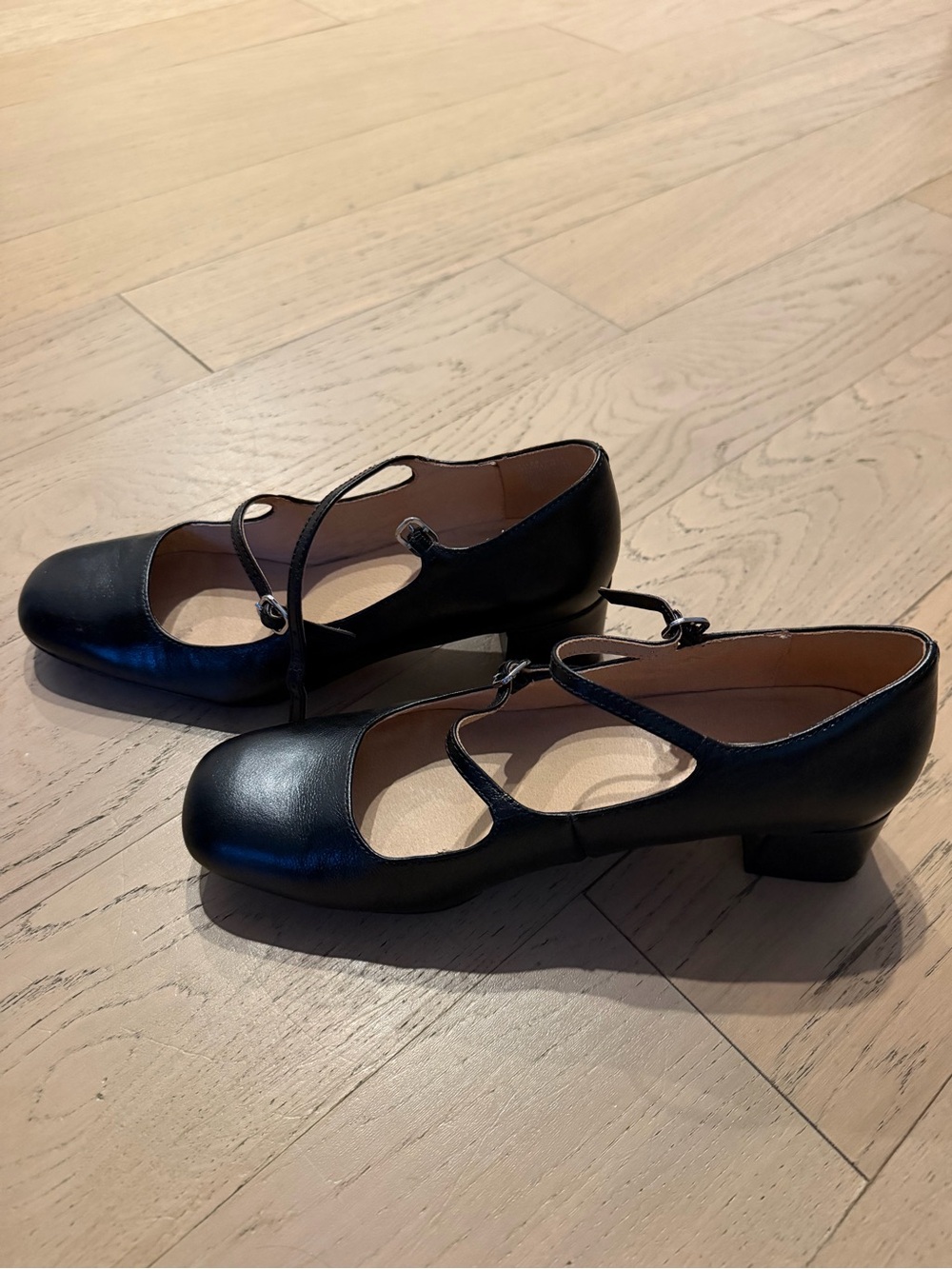 Madewell Mary Jane Block Heel